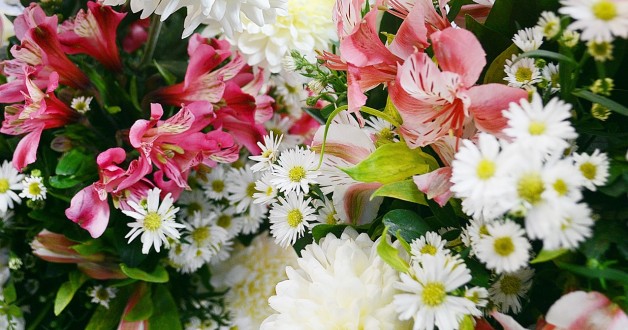 Chemie zorgt voor snijbloemen